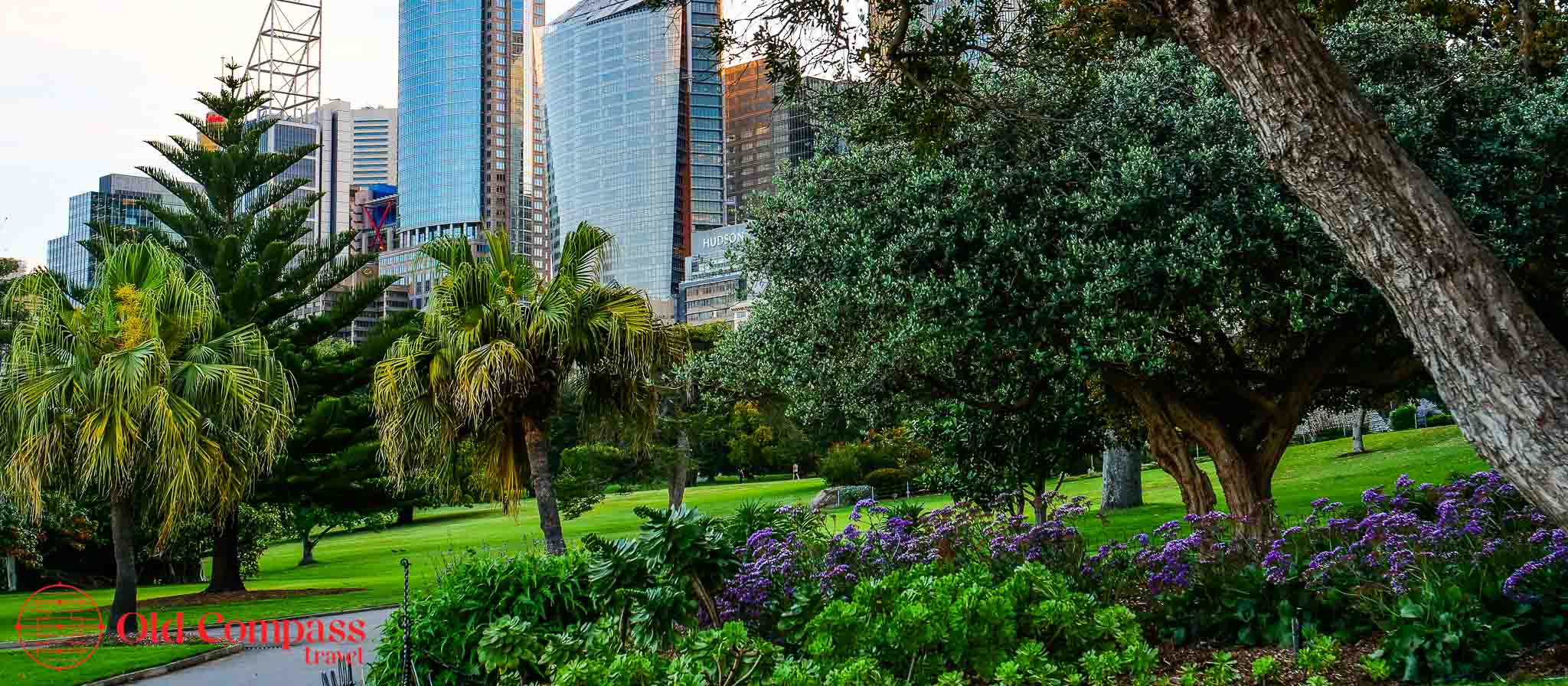 Royal Botanical Gardens and the modern Sydney skyline