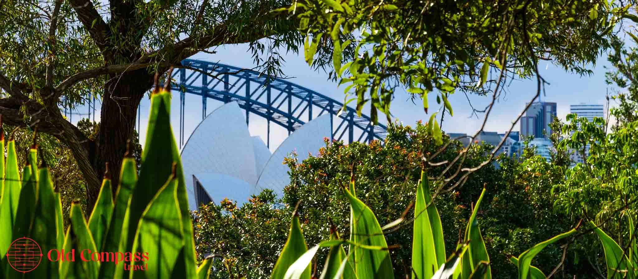 Botanical Gardens, Sydney